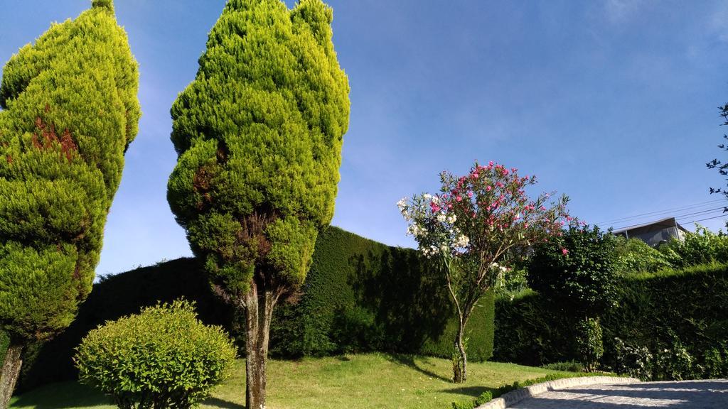 Aboimhouse Villa Amarante Bagian luar foto